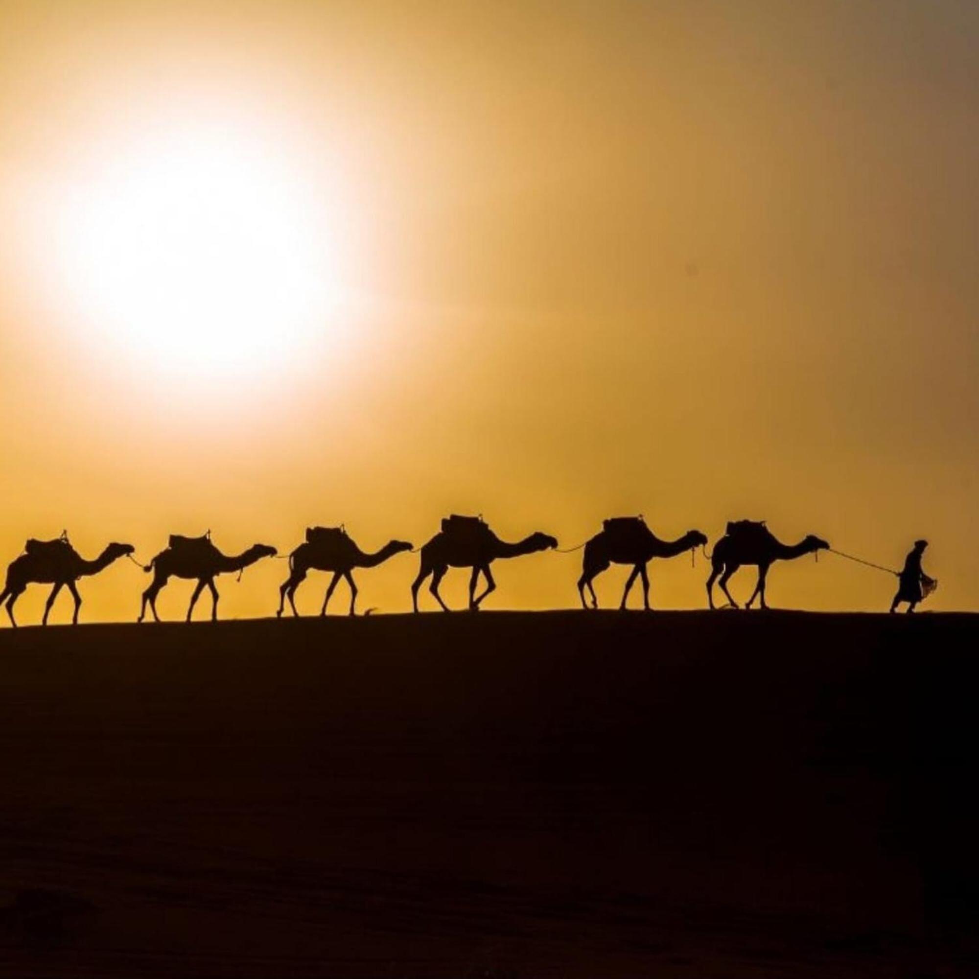 Unique Sahara Camp Hotel Merzuga Kültér fotó